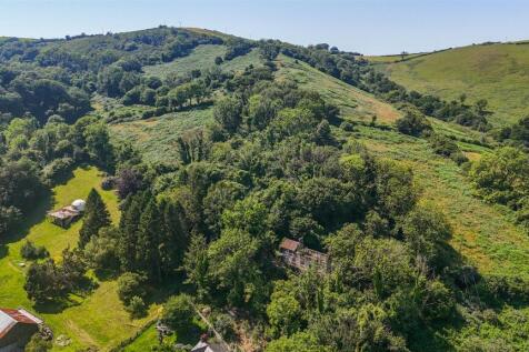 Drone View