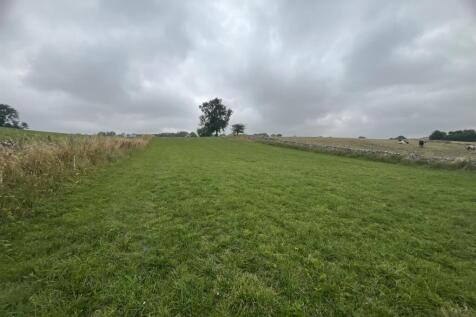 IMG_9187.JPEG