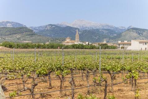 Binissalem Countrysi