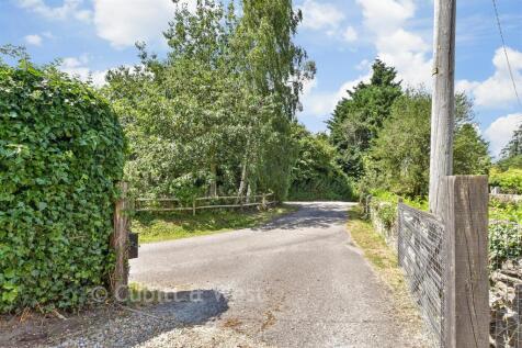 Driveway/Parking