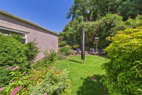 Back Garden