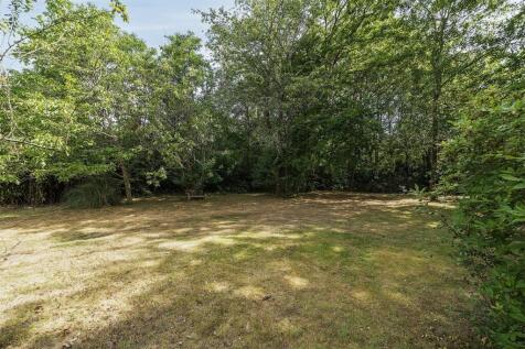 1317437-20-6867a2426f2ec (2).JPG