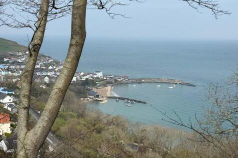 (View)