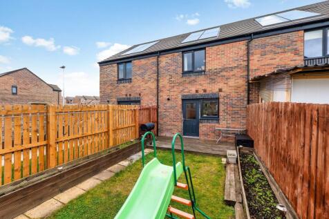 Back garden