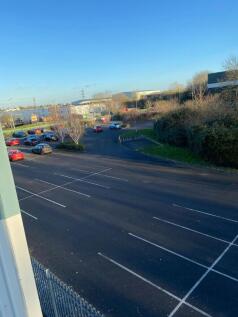 IMG_8555.jpeg