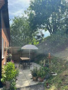 Back garden 1.JPG