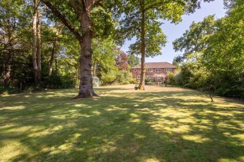 Silver Birches-7.jpg