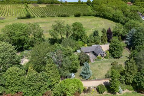 Aerial Shot