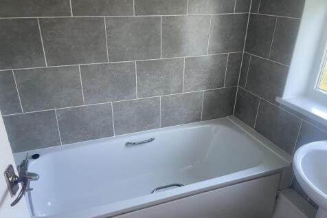 IMG 7303 T202610150917.jpeg