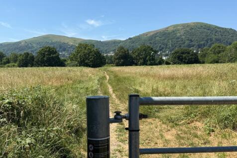 Fantastic dog walking a minute away