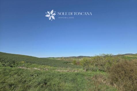 San_Giovanni_d_asso_farm_estate_for_sale (46)
