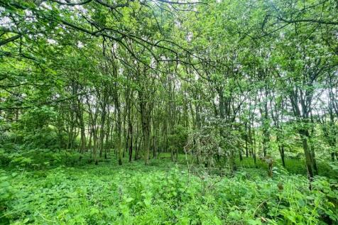 Land for sale Image 6