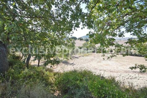 Property Image 67