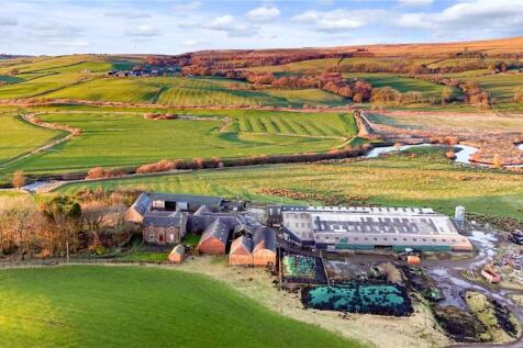 Blackwood Farm