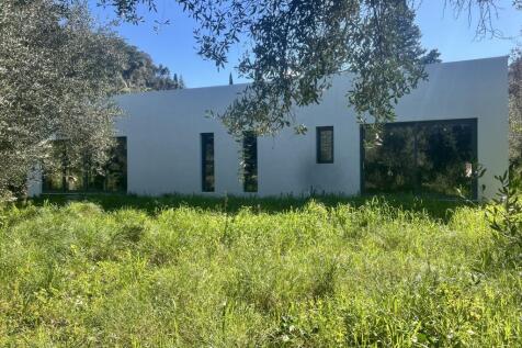 front of the house