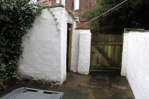 Rear Yard.jpg