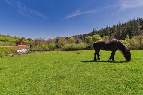 EWEMOVE SOUTH MOLTON - LITTLE KIDLAND