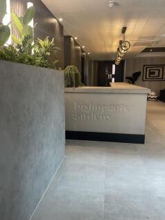IMG-6166