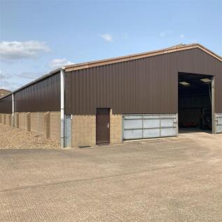 IMG_1055 - Sqaure 1.jpg