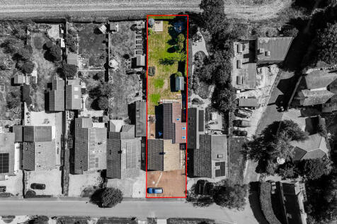 Plot view