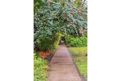 Untitled (9).jpg
