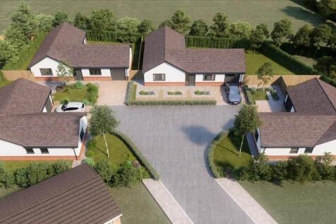 thumbnail_image (1).jpg