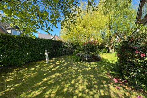 Property Image 16