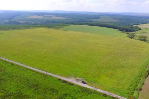 DJI_0481.JPG