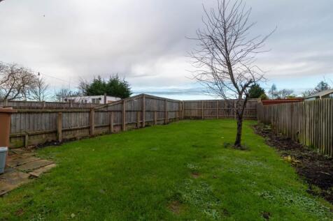 Garden.jpg