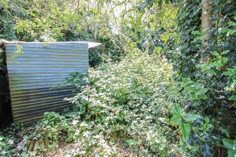 Private Section of Garden