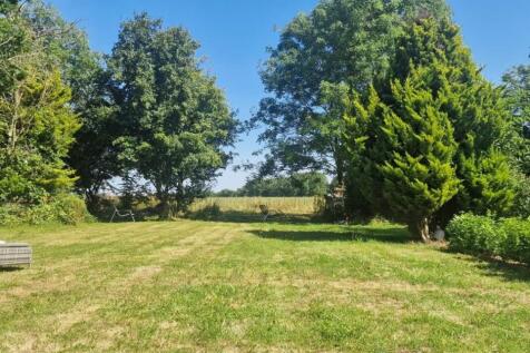 IMG-20250227-WA0005 - Copy.jpg