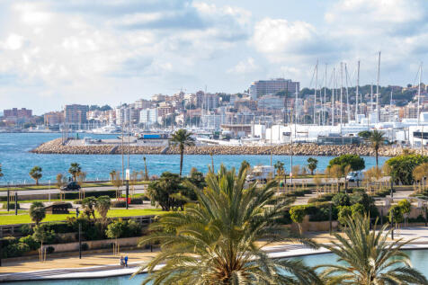 Views over the Palma Bay