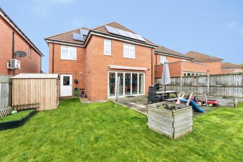 Property Image 13