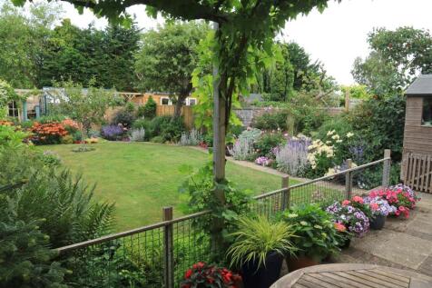Summer Garden in bloom photo.IMG_5439.JPG