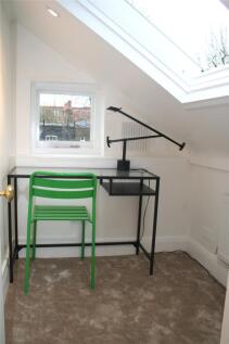 Study Area