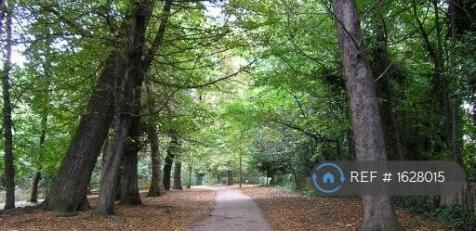Holland Park, Just Up The Road