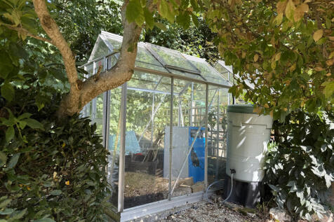 Greenhouse + mature Magnolia tree