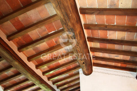 Panorama e Particolari