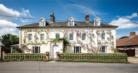 Wisteria