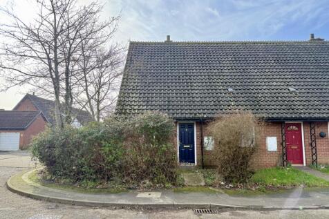 IMG 1090 T202602231616.jpg