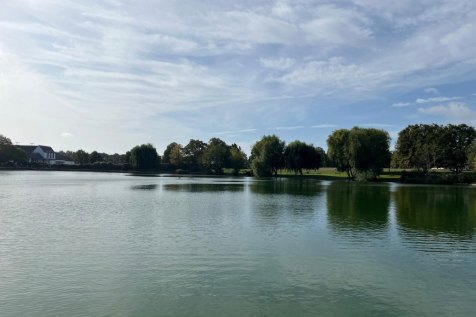 View of The Mere
