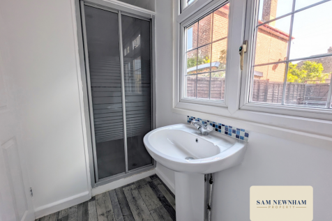 Annexe Shower Room