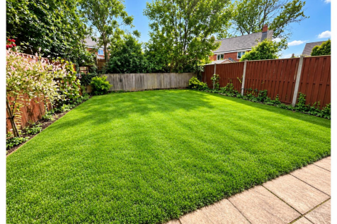 garden.png