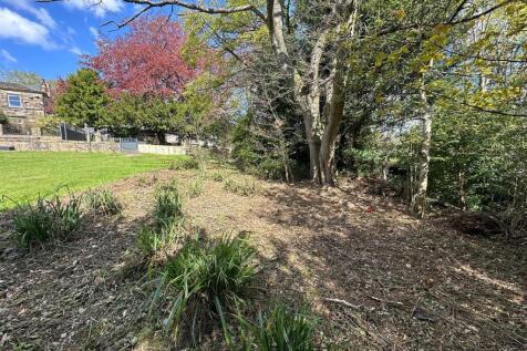 Farm Land for sale Image 7
