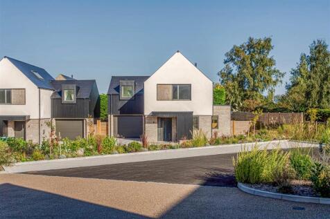 sandpiper close-5.jpg