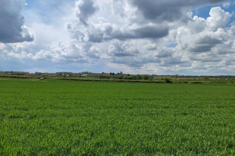 Diss, IP22 - property photo