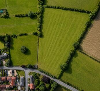 FIELDS