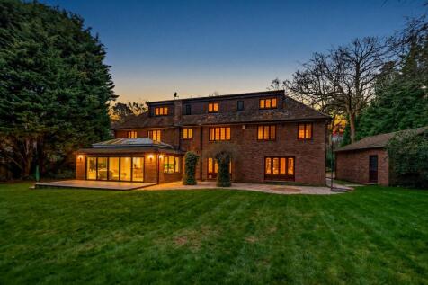Twilight Rear