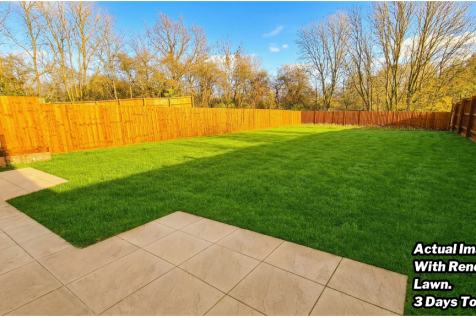 V Large Garden