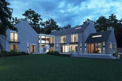 Kimwood_Camera 01_Night.jpg